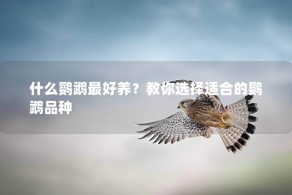 什么鹦鹉最好养？教你选择适合的鹦鹉品种
