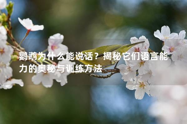 鹦鹉为什么能说话？揭秘它们语言能力的奥秘与训练方法