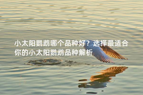 小太阳鹦鹉哪个品种好？选择最适合你的小太阳鹦鹉品种解析