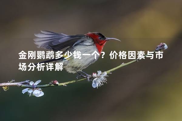 金刚鹦鹉多少钱一个？价格因素与市场分析详解