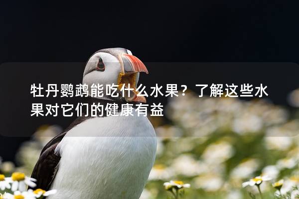 牡丹鹦鹉能吃什么水果？了解这些水果对它们的健康有益