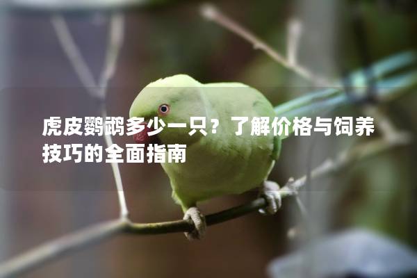 虎皮鹦鹉多少一只？了解价格与饲养技巧的全面指南
