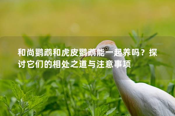 和尚鹦鹉和虎皮鹦鹉能一起养吗？探讨它们的相处之道与注意事项
