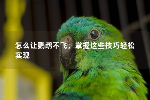 怎么让鹦鹉不飞，掌握这些技巧轻松实现