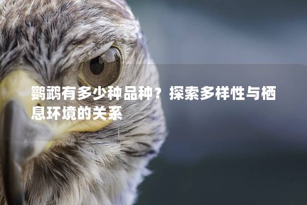 鹦鹉有多少种品种？探索多样性与栖息环境的关系