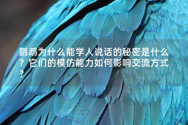 鹦鹉为什么能学人说话的秘密是什么？它们的模仿能力如何影响交流方式？