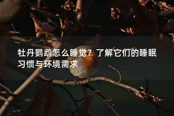 牡丹鹦鹉怎么睡觉？了解它们的睡眠习惯与环境需求