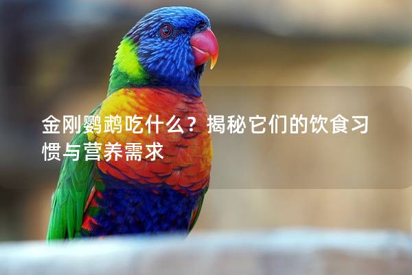 金刚鹦鹉吃什么？揭秘它们的饮食习惯与营养需求