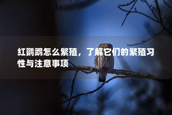 红鹦鹉怎么繁殖，了解它们的繁殖习性与注意事项