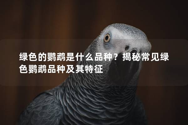 绿色的鹦鹉是什么品种？揭秘常见绿色鹦鹉品种及其特征