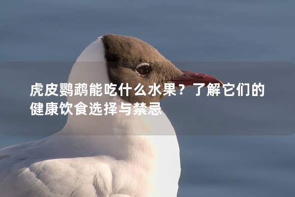 虎皮鹦鹉能吃什么水果？了解它们的健康饮食选择与禁忌