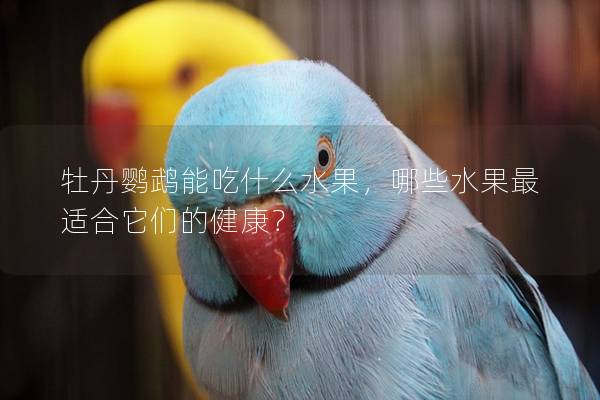 牡丹鹦鹉能吃什么水果，哪些水果最适合它们的健康？