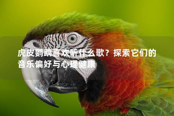 虎皮鹦鹉喜欢听什么歌？探索它们的音乐偏好与心理健康