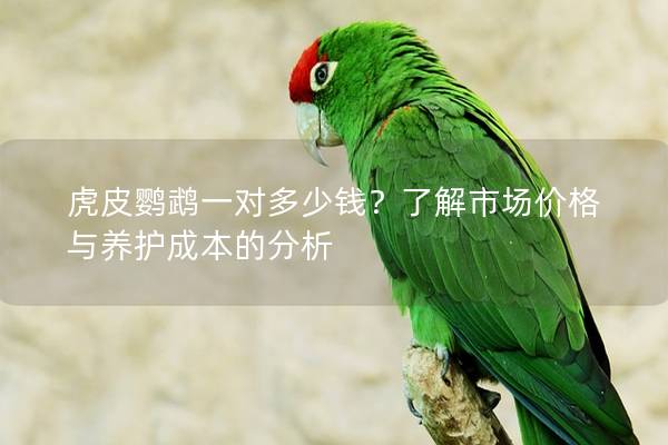虎皮鹦鹉一对多少钱？了解市场价格与养护成本的分析