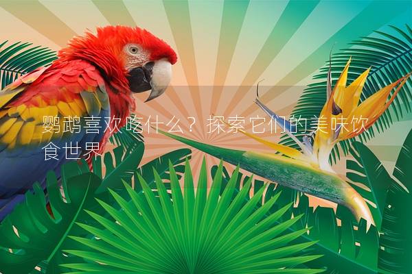 鹦鹉喜欢吃什么？探索它们的美味饮食世界