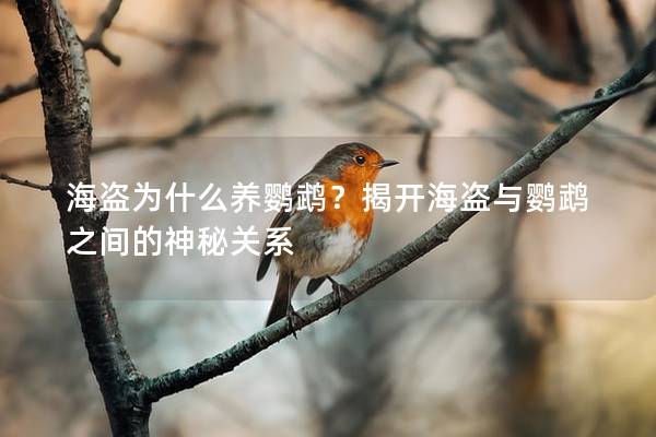 海盗为什么养鹦鹉？揭开海盗与鹦鹉之间的神秘关系