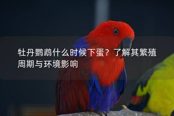 牡丹鹦鹉什么时候下蛋？了解其繁殖周期与环境影响