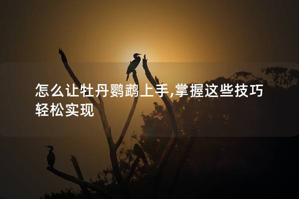 怎么让牡丹鹦鹉上手,掌握这些技巧轻松实现