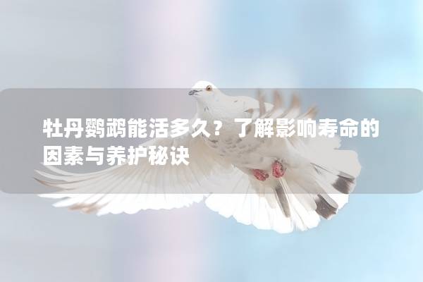 牡丹鹦鹉能活多久？了解影响寿命的因素与养护秘诀