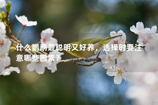 什么鹦鹉最聪明又好养，选择时要注意哪些因素？