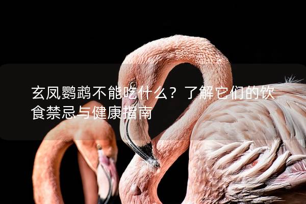 玄凤鹦鹉不能吃什么？了解它们的饮食禁忌与健康指南