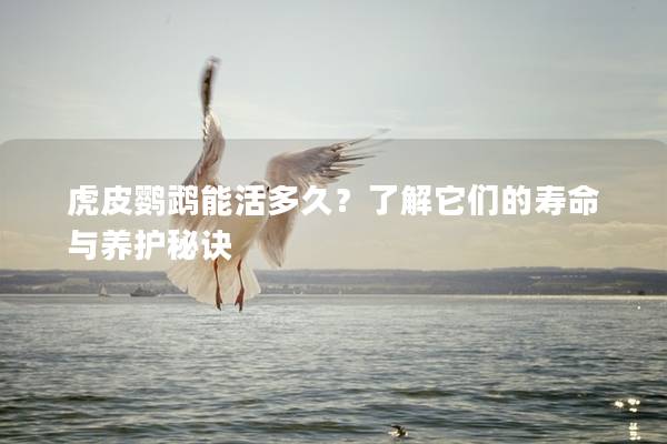 虎皮鹦鹉能活多久？了解它们的寿命与养护秘诀