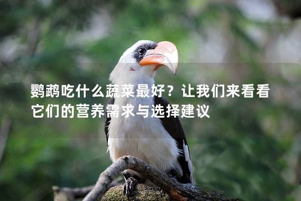 鹦鹉吃什么蔬菜最好？让我们来看看它们的营养需求与选择建议