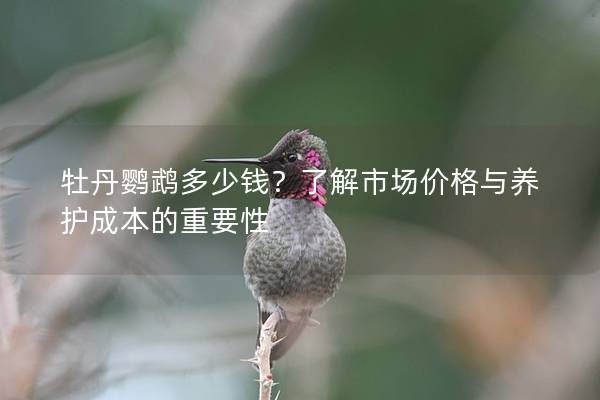 牡丹鹦鹉多少钱？了解市场价格与养护成本的重要性