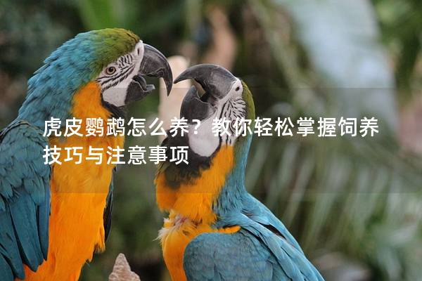 虎皮鹦鹉怎么养？教你轻松掌握饲养技巧与注意事项