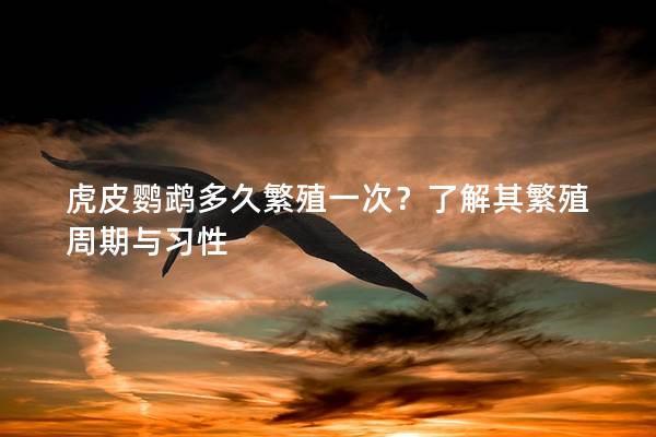 虎皮鹦鹉多久繁殖一次？了解其繁殖周期与习性