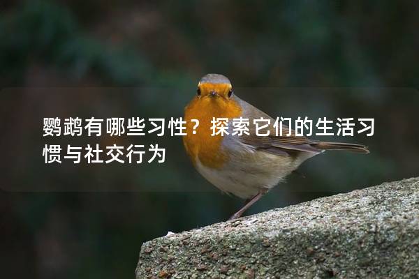 鹦鹉有哪些习性？探索它们的生活习惯与社交行为