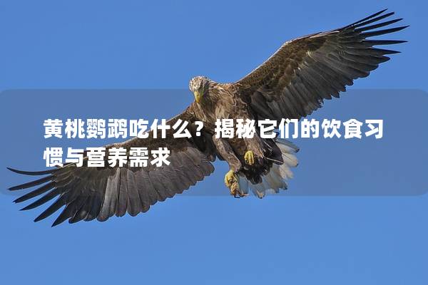 黄桃鹦鹉吃什么？揭秘它们的饮食习惯与营养需求