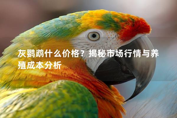 灰鹦鹉什么价格？揭秘市场行情与养殖成本分析