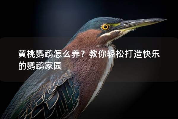 黄桃鹦鹉怎么养？教你轻松打造快乐的鹦鹉家园