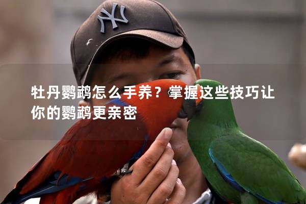 牡丹鹦鹉怎么手养？掌握这些技巧让你的鹦鹉更亲密