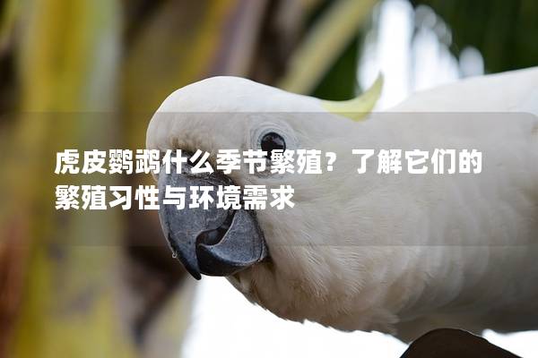 虎皮鹦鹉什么季节繁殖？了解它们的繁殖习性与环境需求