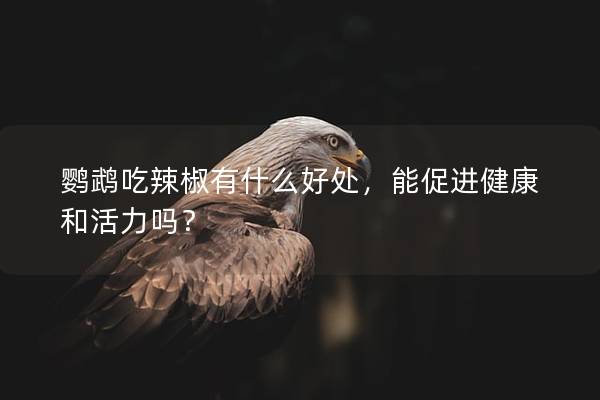 鹦鹉吃辣椒有什么好处，能促进健康和活力吗？