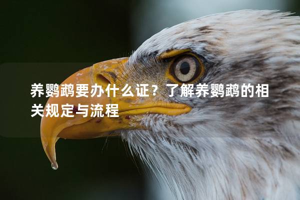 养鹦鹉要办什么证？了解养鹦鹉的相关规定与流程