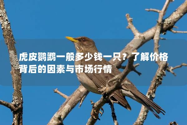 虎皮鹦鹉一般多少钱一只？了解价格背后的因素与市场行情