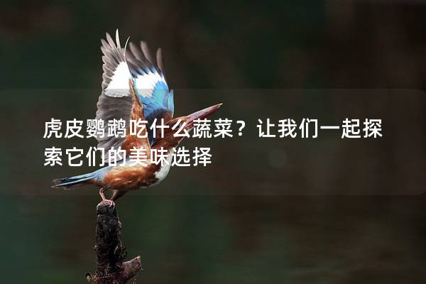 虎皮鹦鹉吃什么蔬菜？让我们一起探索它们的美味选择