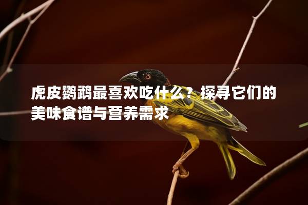 虎皮鹦鹉最喜欢吃什么？探寻它们的美味食谱与营养需求