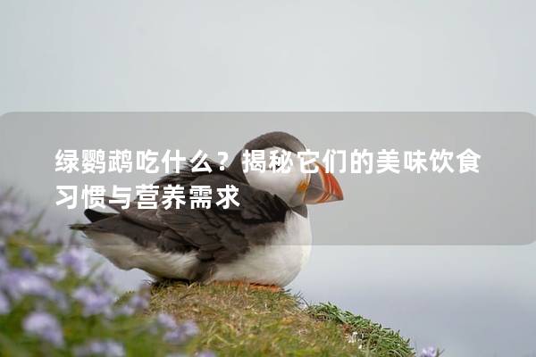 绿鹦鹉吃什么？揭秘它们的美味饮食习惯与营养需求