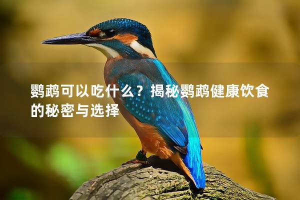 鹦鹉可以吃什么？揭秘鹦鹉健康饮食的秘密与选择