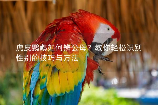 虎皮鹦鹉如何辨公母？教你轻松识别性别的技巧与方法