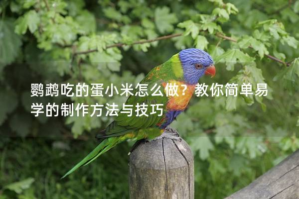鹦鹉吃的蛋小米怎么做？教你简单易学的制作方法与技巧