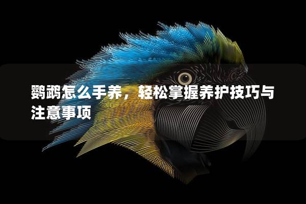 鹦鹉怎么手养，轻松掌握养护技巧与注意事项