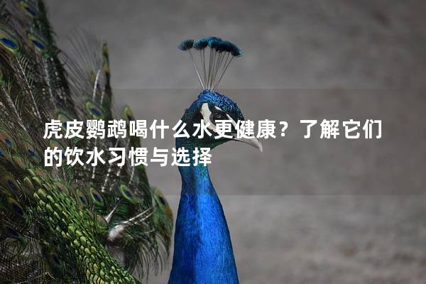 虎皮鹦鹉喝什么水更健康？了解它们的饮水习惯与选择