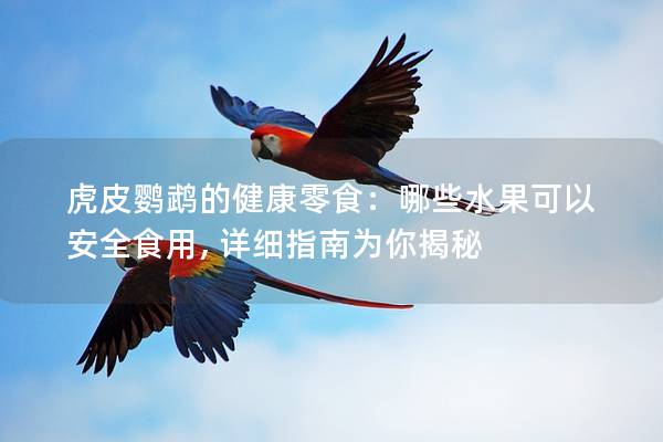 虎皮鹦鹉的健康零食：哪些水果可以安全食用, 详细指南为你揭秘