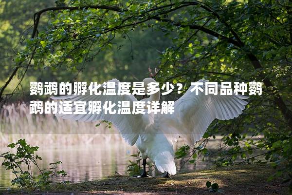 鹦鹉的孵化温度是多少？不同品种鹦鹉的适宜孵化温度详解