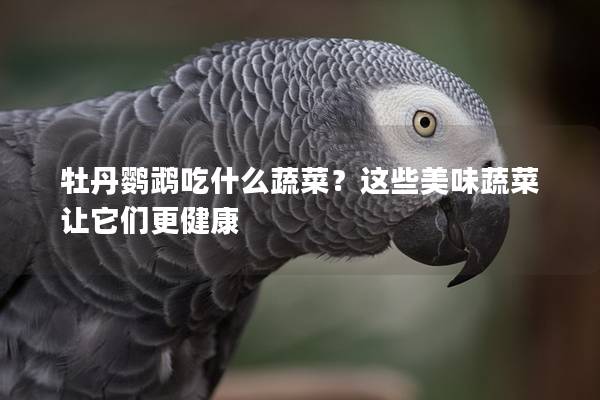 牡丹鹦鹉吃什么蔬菜？这些美味蔬菜让它们更健康